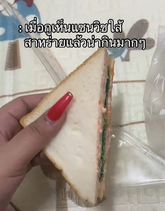เมื่อเห็นแซนด์วิชไส้สาหร่ายน่ากิน 