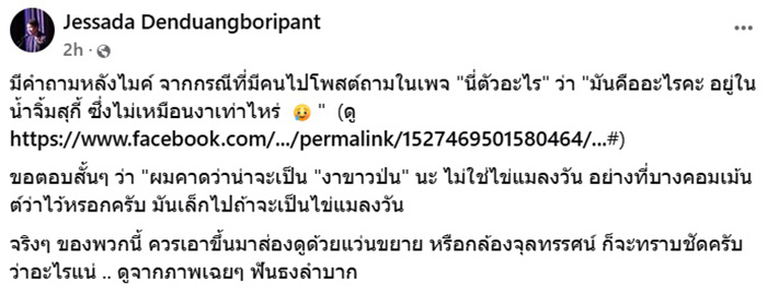 เห็นผงขาว ในน้ำจิ้มสุกี้ ใช่ขี้แมลงวันไหม เห็นผงขาว ในน้ำจิ้มสุกี้ ใช่ขี้แมลงวันไหม