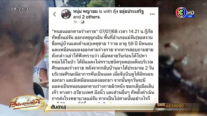 ชายหาหน่อไม้ในป่า กลับมาป่วยประหลาด